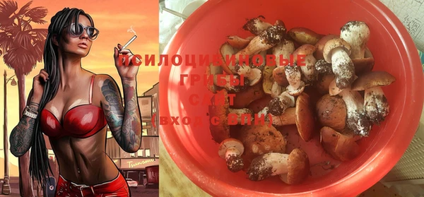 молекула духа Верея
