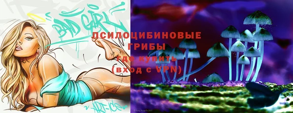 гидра Вязники
